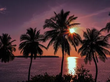 Sleepy Piano Chapter 2 - End Of Day