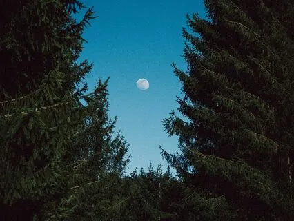 Sleepy Piano Chapter 3 - My Life & My Time