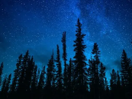 Sleepy Piano Chapter 5 - Solitude