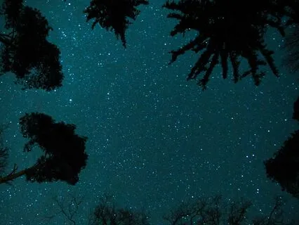 Sleepy Piano Chapter 8 - All The Time In The World