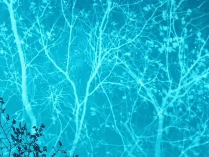 Sleepy Sacred Harmony: Healing Affirmations