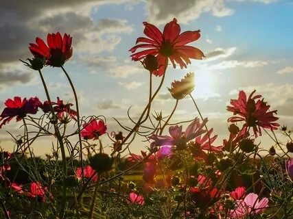 Sleepy Stories 14 - Integrity Is Priceless + Delta 3Hz Binaural Waves