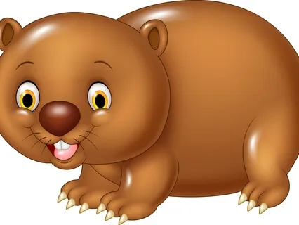 Sleepy Wombat Yoga Nidra