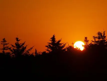 Slip Dagen Med Taknemmelighed – En Aftenpraksis