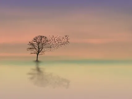 Slipping Into Stillness For Sleep And Deep Relaxation