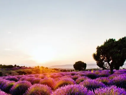 Slow... 111 Health Affirmations