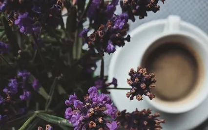 Slow And Mindful Morning Affirmation Meditation