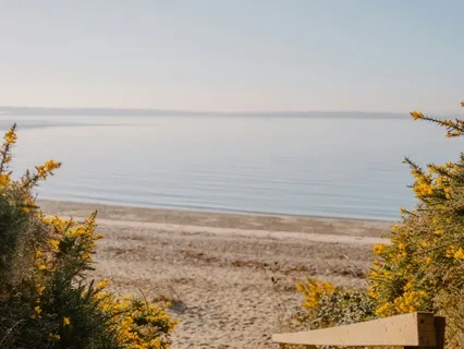 Slow Body Scan Meditation For Grounding And Embodiment