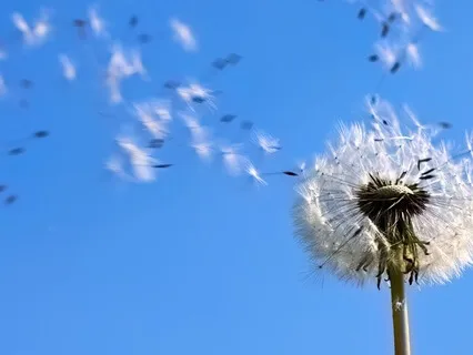 Slow Breathing For Stillness And Calm