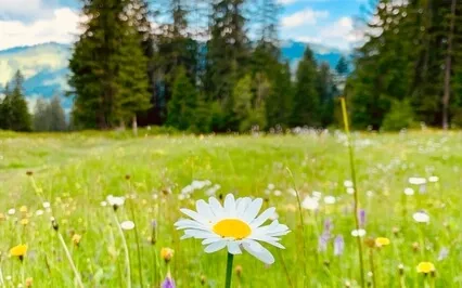 Slow Breathing With Paula