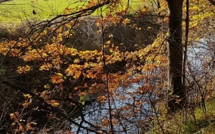 Slow Down & Awaken Your Senses