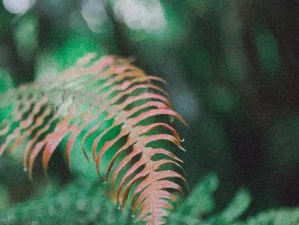 Slow Down + Be Present