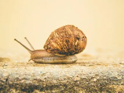 Slow Down, Breathe And Release 5 Minute Guided Meditation