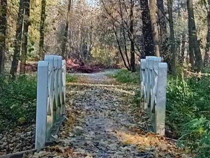 Slow Down - Calm Your Body And Mind