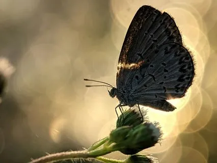 Slow Down From Rushing: Meet Life At Its Own Pace