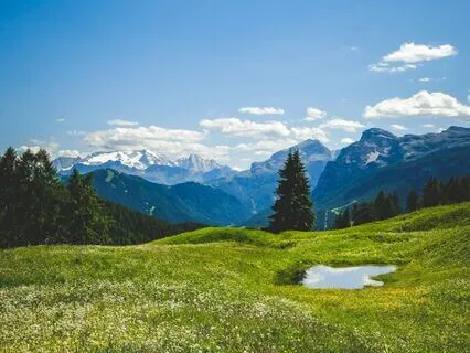 Grounding Energy Reset