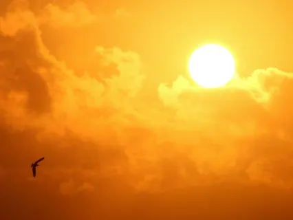 Slow Down Meditation