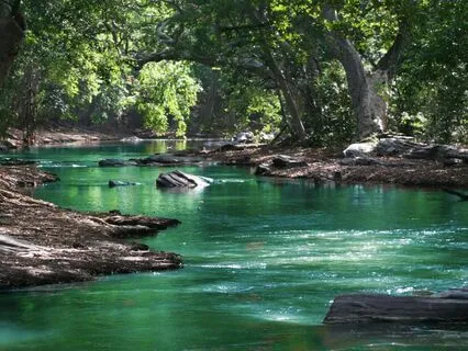 Slow Down, My Racing Mind