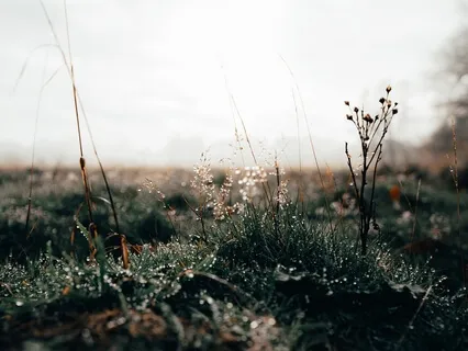 Slow Down + Savour Yin Yoga Practice