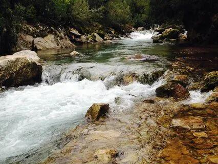 Slow Down Racing Thoughts