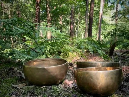 Slow Down: Tibetan Singing Bowls And Forest Sound