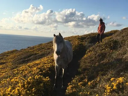 Slow Down To Enjoy The Freedom Of The Present