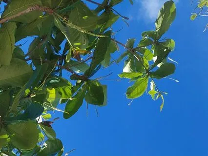 Focus On The Breath And Slow The Body Down