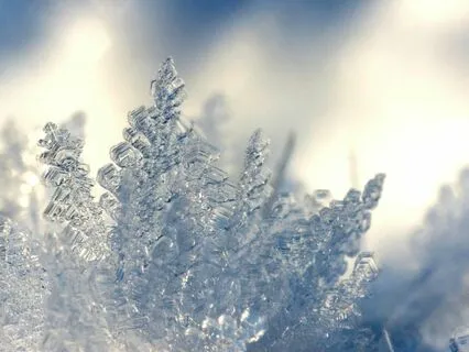 Slow Hazy Snowfall