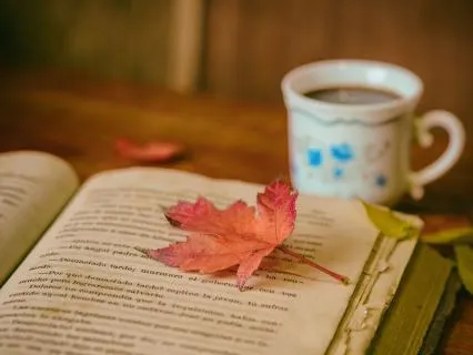 Slow Learning: Consume Less, Transform More (Higher Mind)