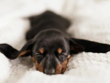 Slow Melt | Binaural Beats: Delta Brain Waves