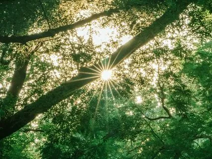 Slow Motion Prana Meditation