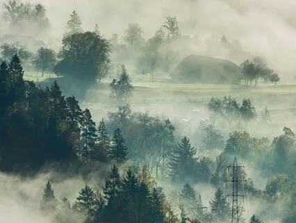 Slow Paced Perfect Nurturer Reinforcement