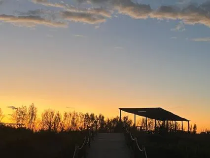 Slow Piano Background