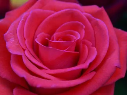 Slow Piano & Intimate Ambient Sounds