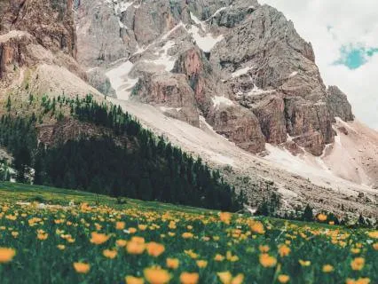 Slow The Exhale To Come Down After Stress