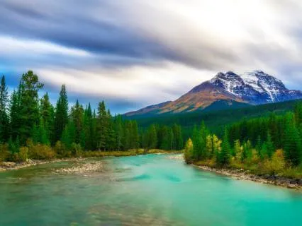 Slow Yourself | A Poem Of Slow Living