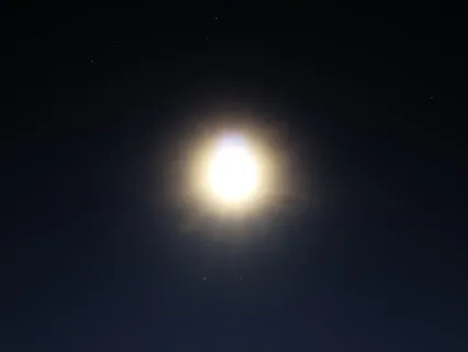 Slower Than Slow | Meditative Bass Soundscape | 15''