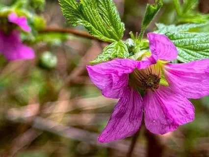 Slowing Down: A Return To Stillness