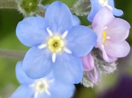 Slowing Down - A Vibrational Sound Meditation