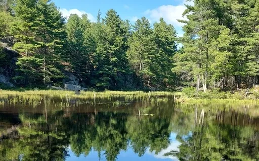 Slowing Down & Finding Ground