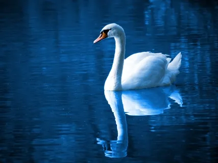 Slowing Down Before Sleep