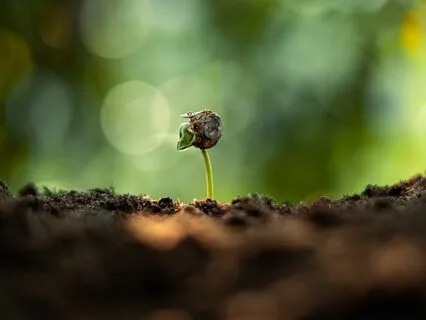 Slowing Down For Stillness