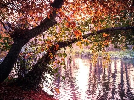 Slowing Down Is The Next Best Thing