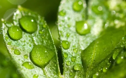 Slowing Down - Mantra Meditation