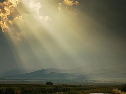 Slowing Down, Nature Is Never In A Hurry