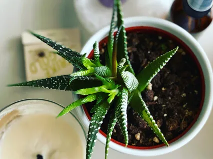 Slowing Down Our Breath