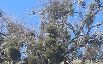 Slowing Down To Connect With Our Energy Centers / Chakras