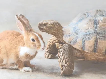 Slowing Down To Speed Up