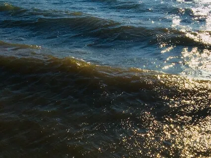 Slowing Down With The Breathing Cycle To Release Tension