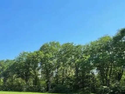 Slowing Including What Is Uncomfortable While Including What Is Simple